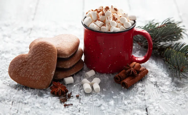 mug of hot chocolate and cookies