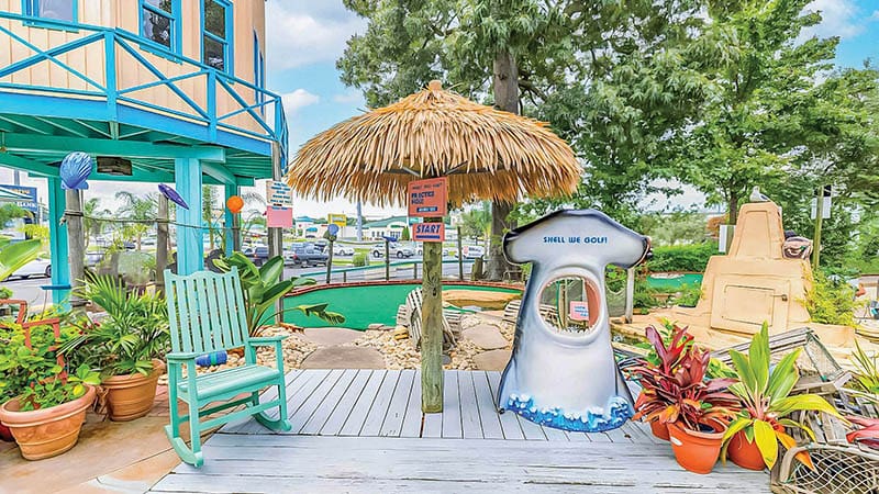 Sea Shell Shop 