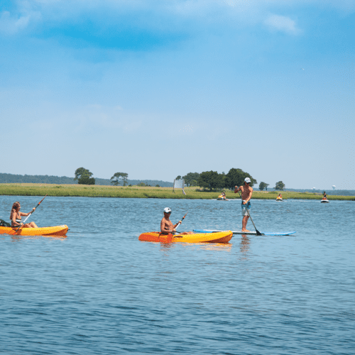 Fenwick Island kayakers stand up paddleboarding