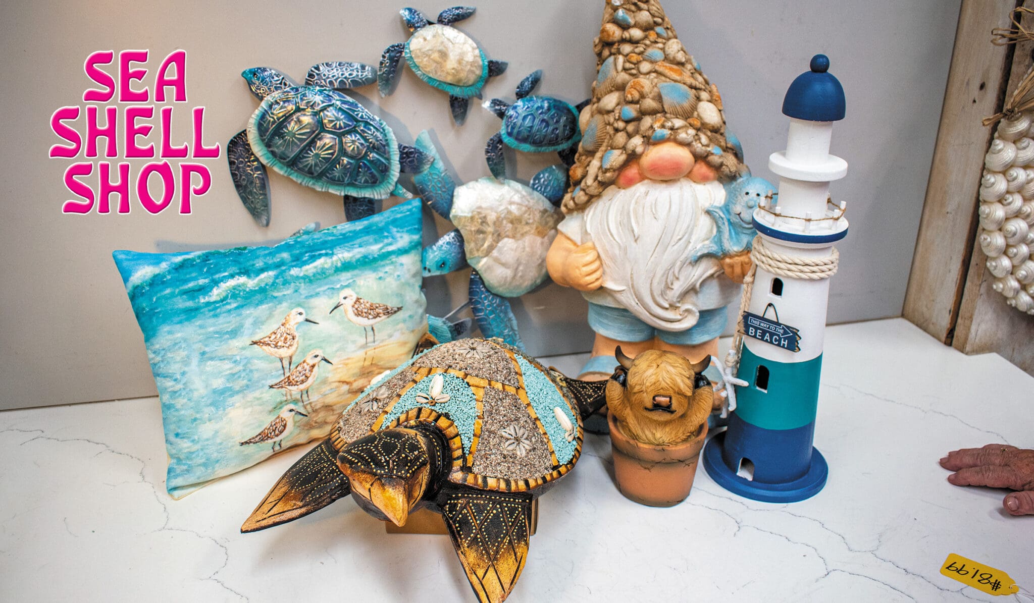 Sea Shell Shop items